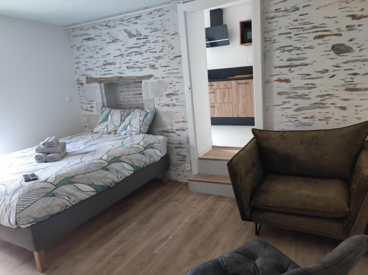 Апартаменти La Douce Angevine - La Perruche - Proche Centre Анже Екстер'єр фото
